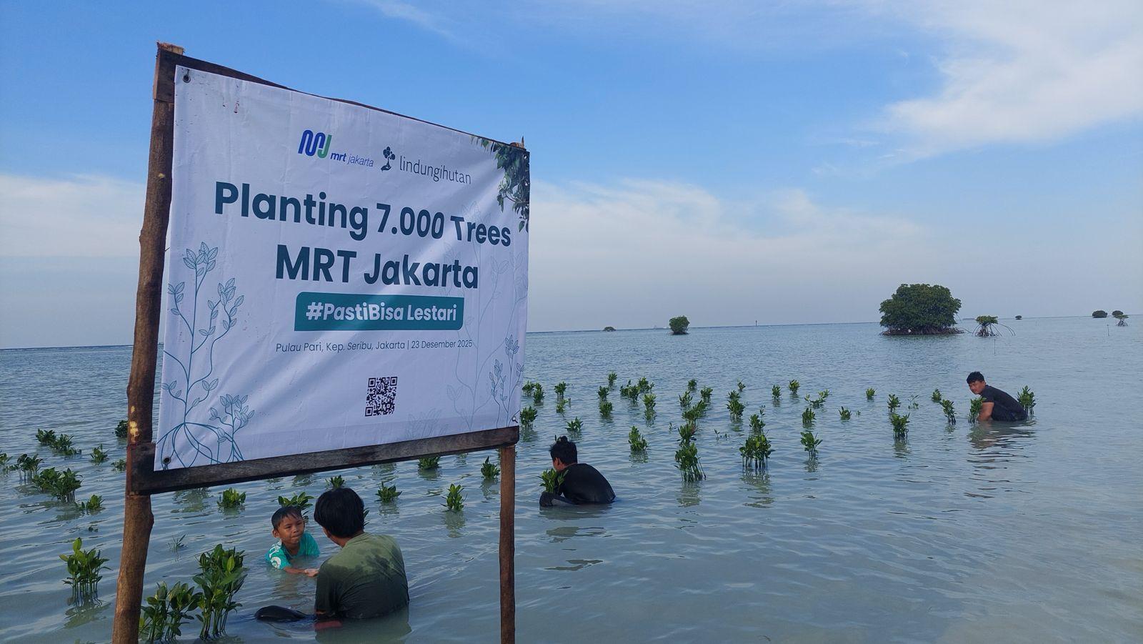 mangrove pari 2025